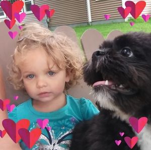 Meet your Posher, Lynn